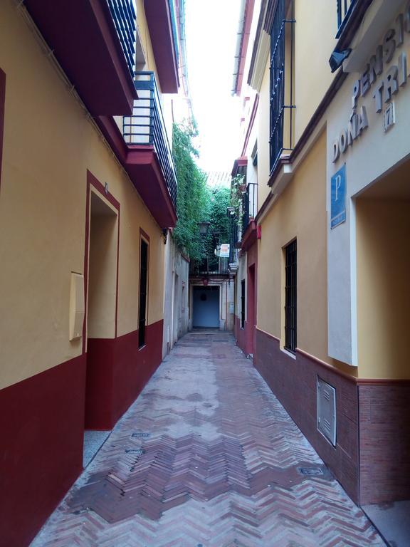 Apartamento San Clemente Sevilla Exterior foto